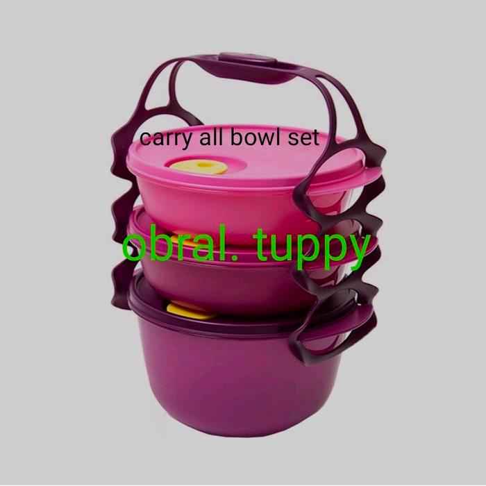 rantang carry all bowl tupperware