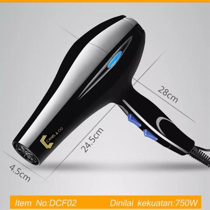 Canel & Co Anion Beauty Salon Hair Dryer Pengering Rambut