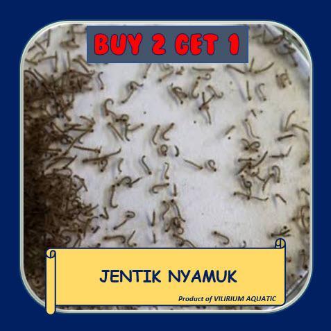 PAKAN IKAN HIAS - JENTIK NYAMUK / ENCU
