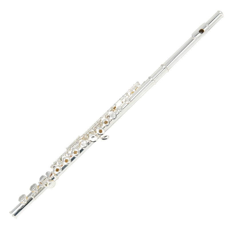 Closed Hole C Flute with Carrying Case/Bag Silver Plated Flute Student Flute Instrument for Student