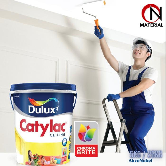 Cat Dulux Catylac Ceiling 25Kg