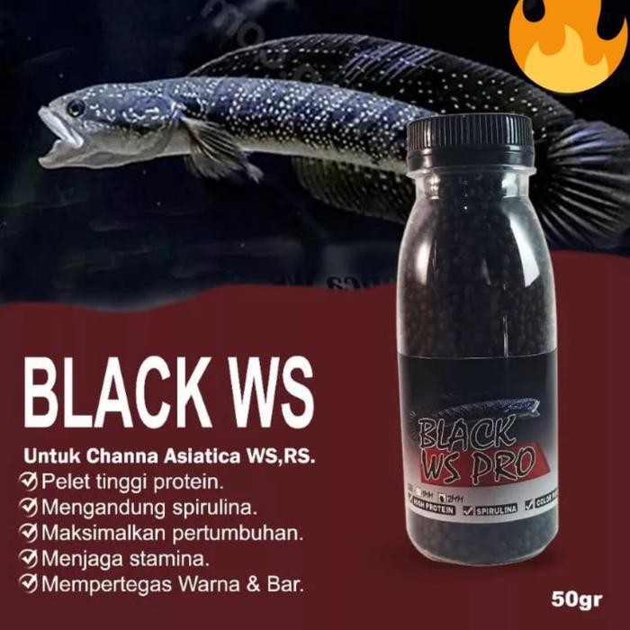Pelet black ws pro ikan chana asiatica / pelet chana asiatica / pakan ikan chana / pelet chana /