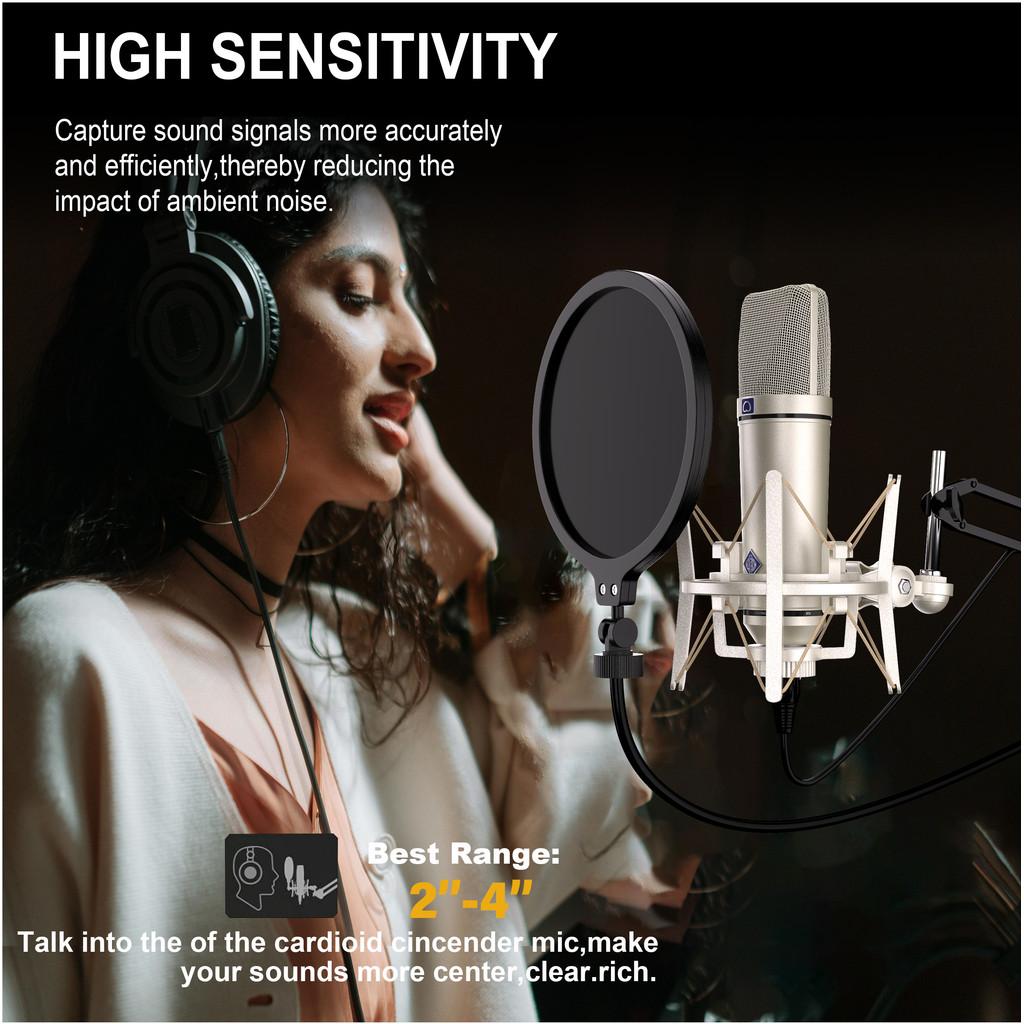 U87 AI XLR Condenser Microphone Professional Cardioid Studio Mic for Recording Podcasting Voice Over