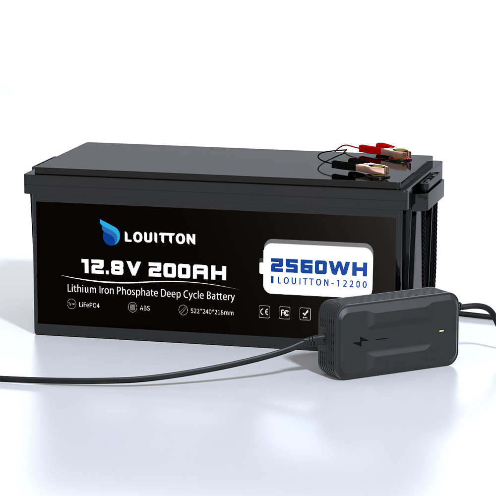 12V 100AH 200AH 24V 100AH Lifepo4 Battery Pack 12v 50AH Portable Power Bank Rechargeable Lithium