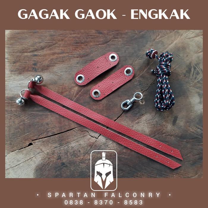 BIGSALE GAGAK GAOK ENGKAK SPARTAN FALCONRY GELANG KAKI BURUNG HANTU ELANG