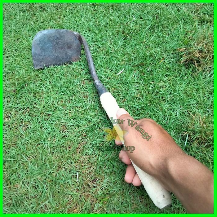 PACUL MINI / WANGKIL MIRING / GRATUL / ALAT PEMBERSIH RUMPUT