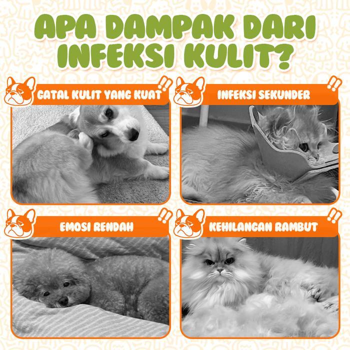 Cassiel Pet Tablet Obat Jamur Gatal Kucing Anjing - Atasi Alergi, Dermatitis, Rontok Bulu 1 Tablet