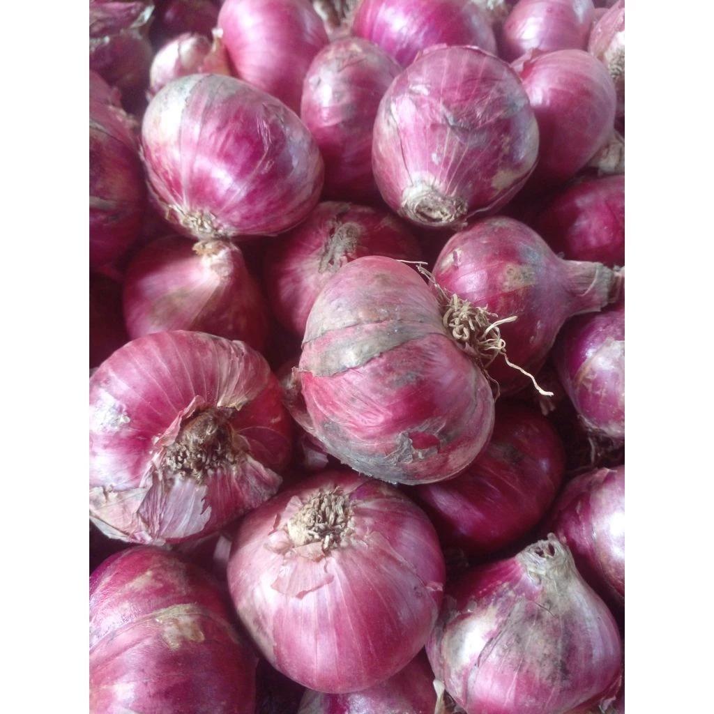 Bawang Merah 500 gr | Bawang Merah Campur | Bawang Merah Besar