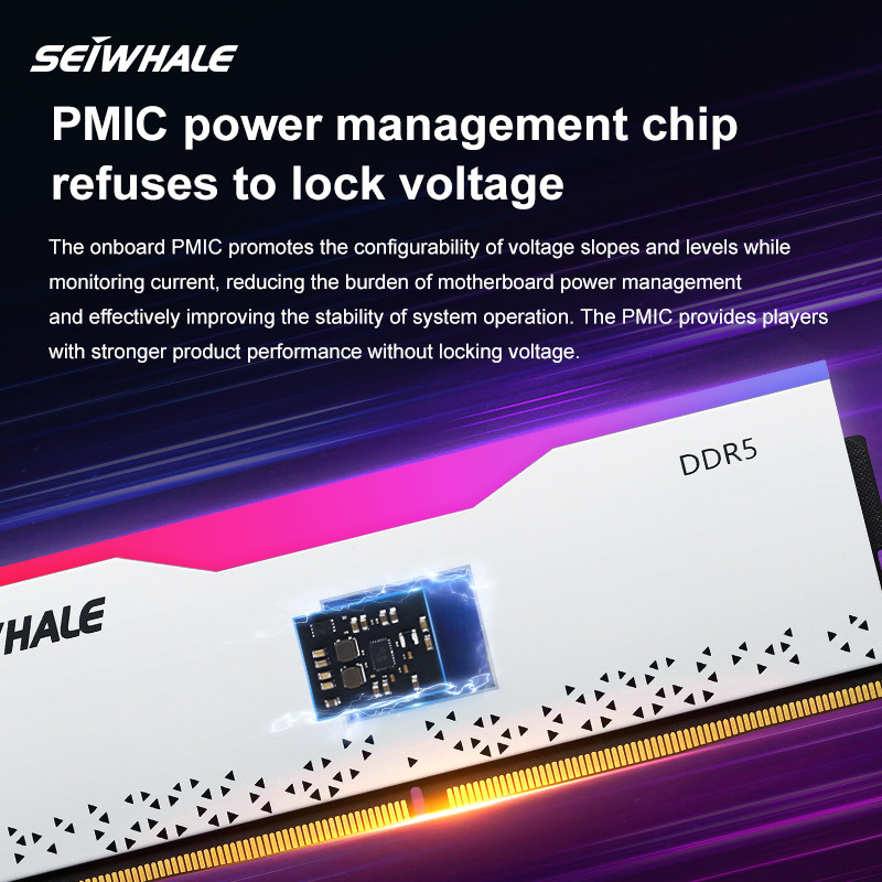 SEIWHALE RGB Ram DDR5 16GB 6000MHz 6400MHz DDR5 Desktop Dimm Memory Ram