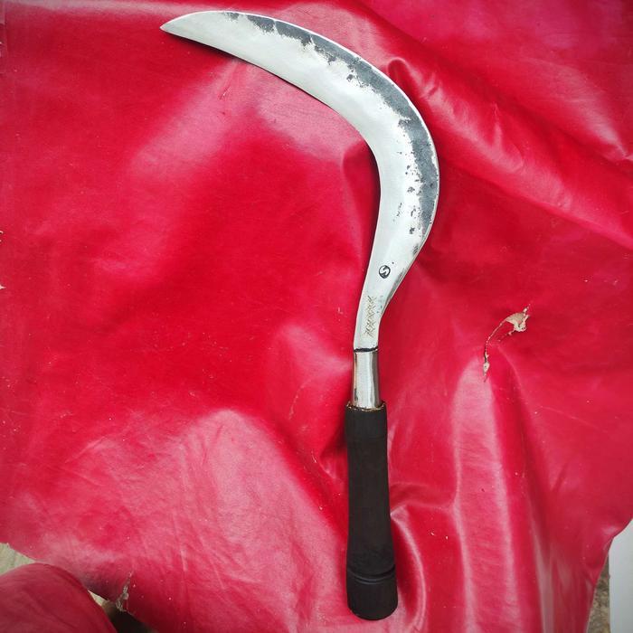 SABIT BABAT RUMPUT GAJAH BAJA PER