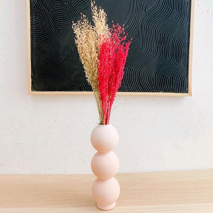 Bunga Kering Springkel / Dried Flowers / Bunga Kering / Bunga Kering Hias untuk Dekorasi Ruangan