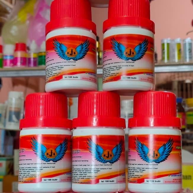 Phoenix Aviary - Jamu Vitamin Doping Obat Herbal Rjb Burung Dara Merpati Lomba Kolongan