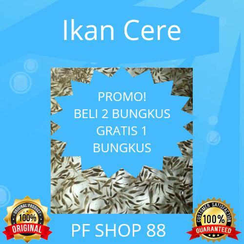 Ikan Cere pakan hidup ikan hias predator