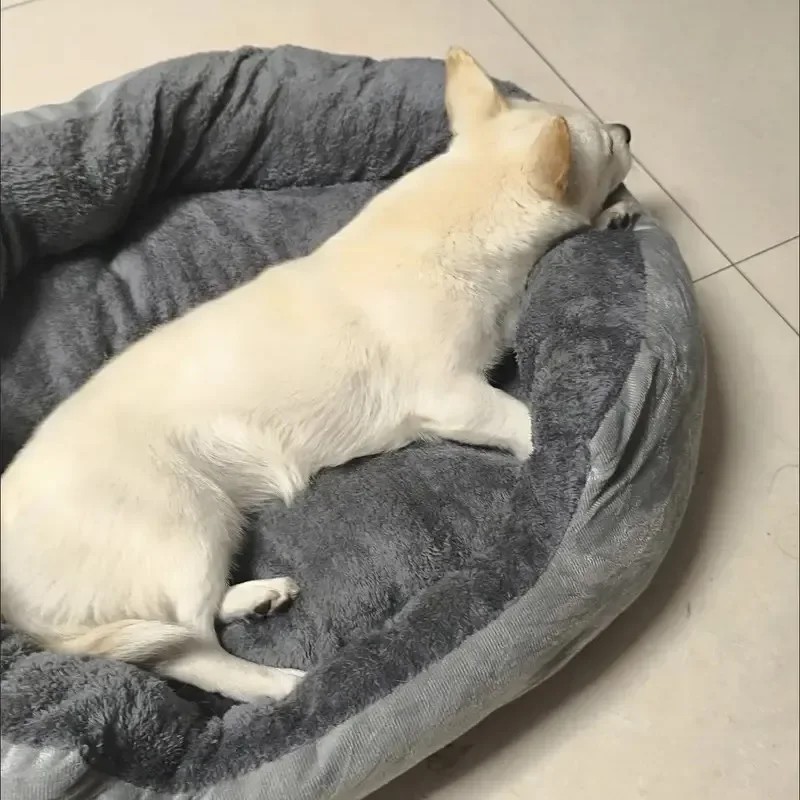 Soft Warm Dog Bed Pets Basket Cat House Sofa for Medium Large Dog Sofa Bed Cushion Dog Bed House Pet