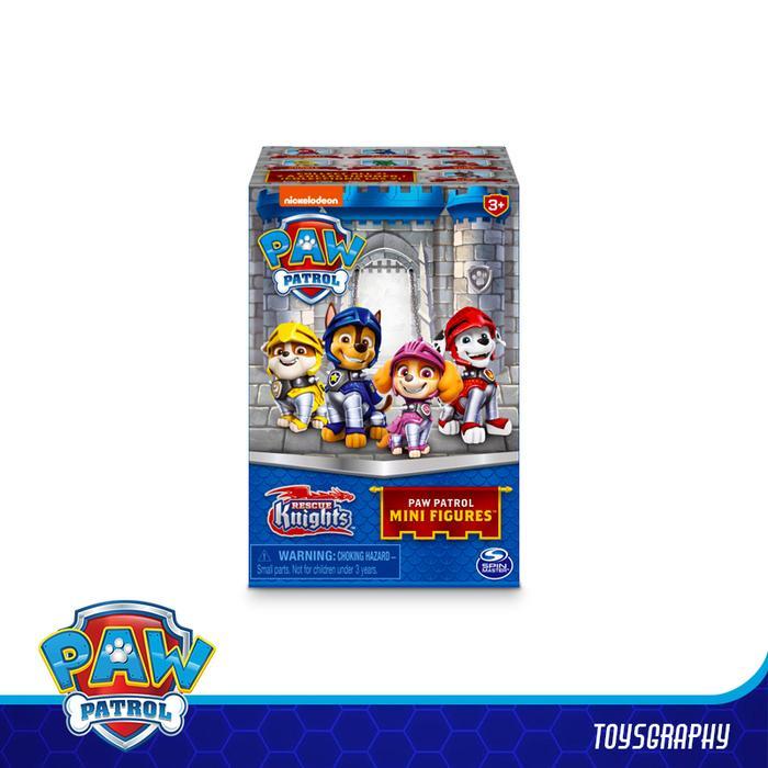 Paw Patrol Rescue Knights Surprise Blind Box Mini Figure with Castle