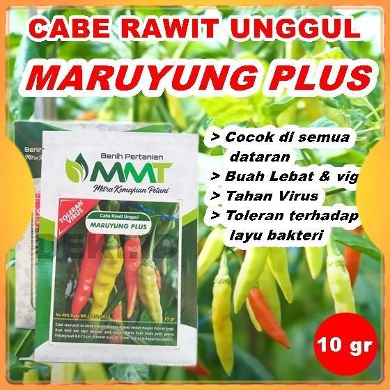 Koralineshop Benih Cabe Rawit Maruyung Plus 10 Gram Bibit Cabai Unggul Mmt