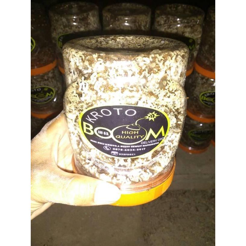 Thebest- Ratu Semut Kroto (5 gratis 1)