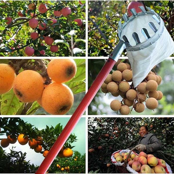 "New" Alat Ujung Galah Petik Buah Pemetik Buah Mangga Rambutan Jambu
