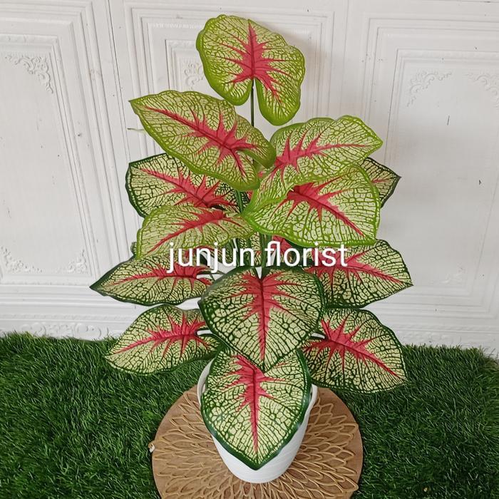 tanaman hias plastik keladi garis merah pot tawon