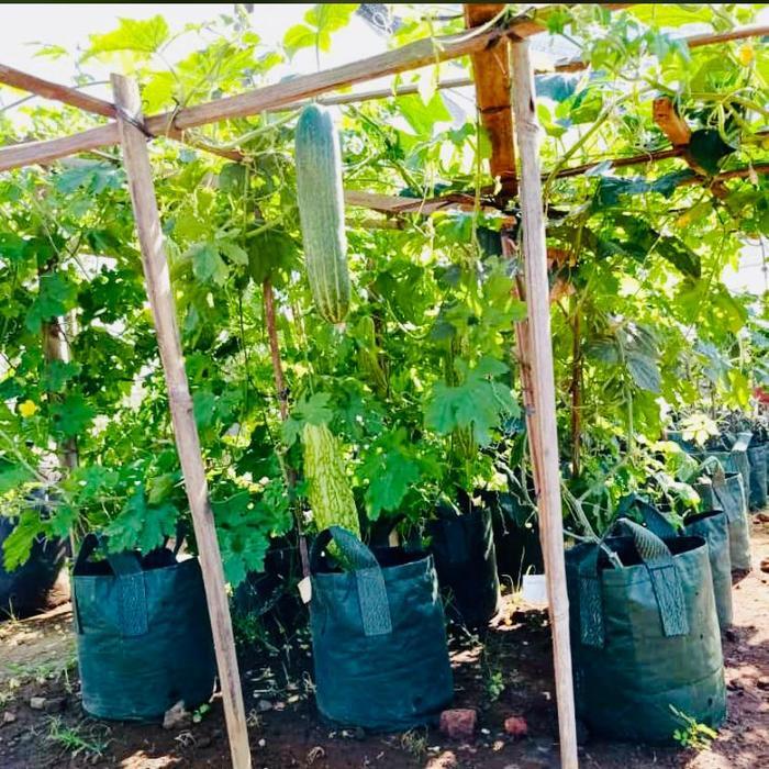 Planter Bag Eco Pack 50 Liter Original Terlaris