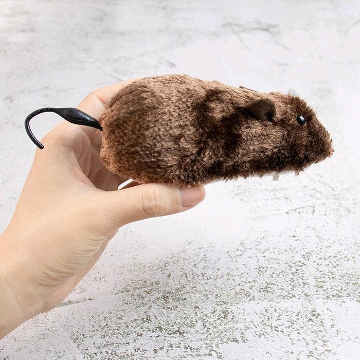 Pristinepitch Mainan Kucing Tikus Bergerak Mekanik