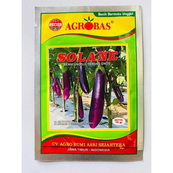 Little_Little_ Benih Unggul Terong Ungu Solane Kemasan 10Gr Dari Agrobas