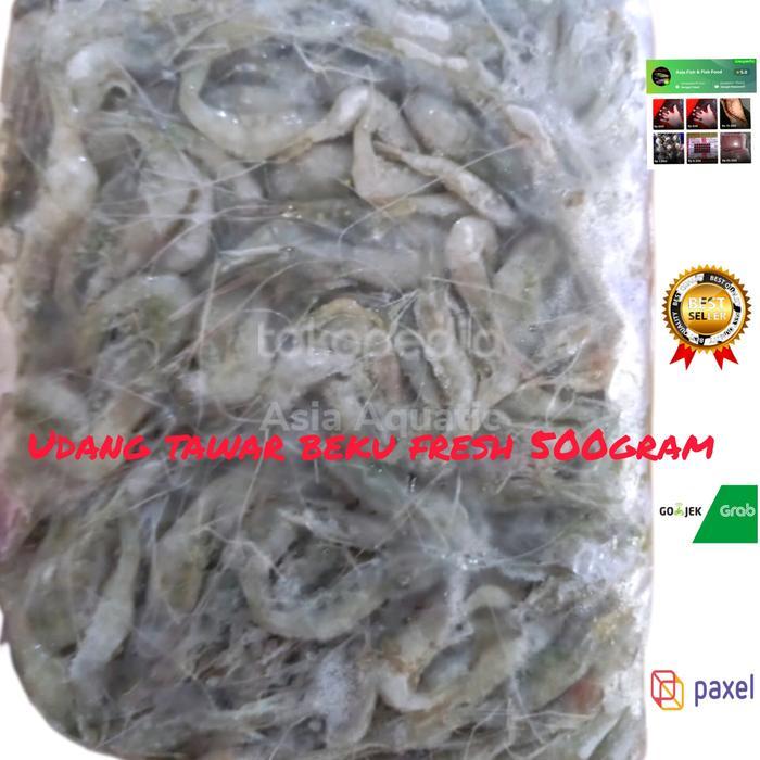 udang air tawar beku higienis pakan ikan predator