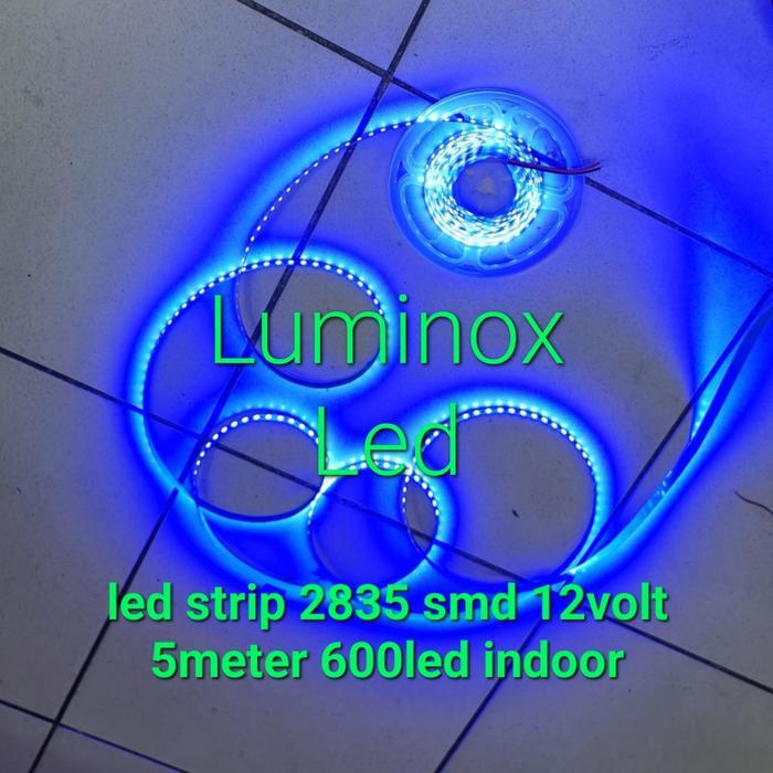 strip led biru 2835 smd 12v 120led - strip ceiling etalase 5m 600led