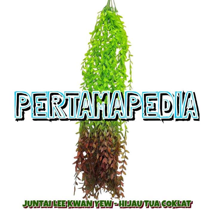 Daun Juntai Lee Kwan Yew Plastik/Tanaman Merambat/Hiasan Dinding Dekor