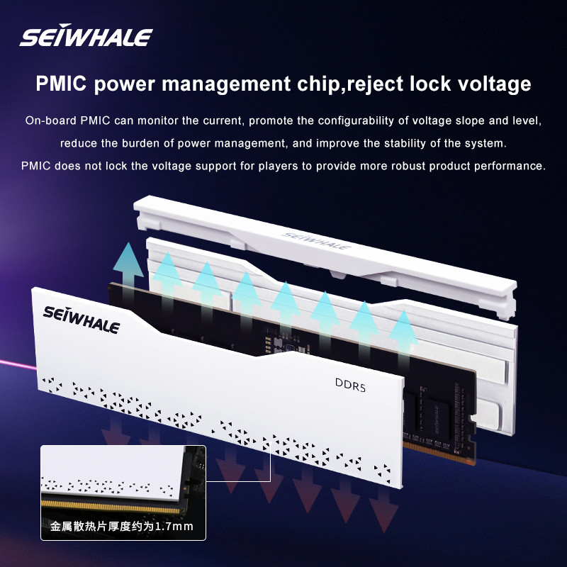 SEIWHALE DDR5 Ram 16GB 6000MHz 5600MHz 4800MHz Desktop Memoria Ram