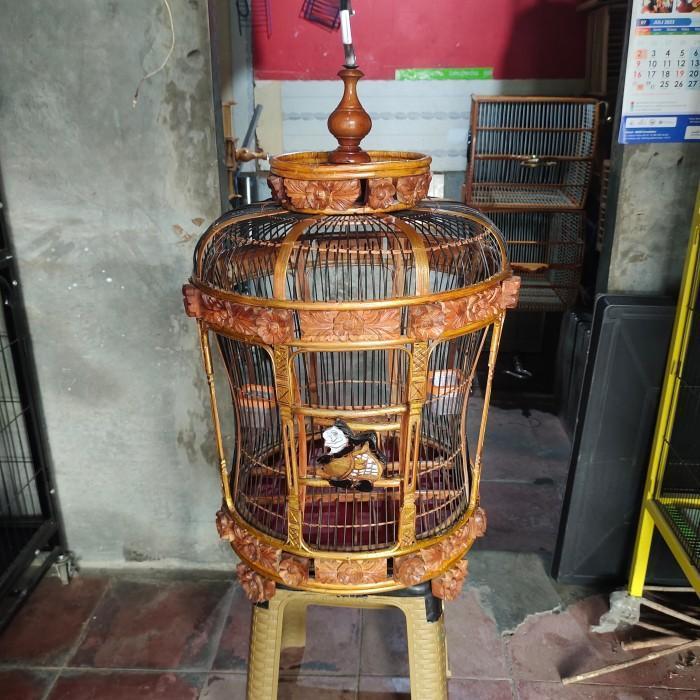 sangkar burung perkutut mataram semar jati