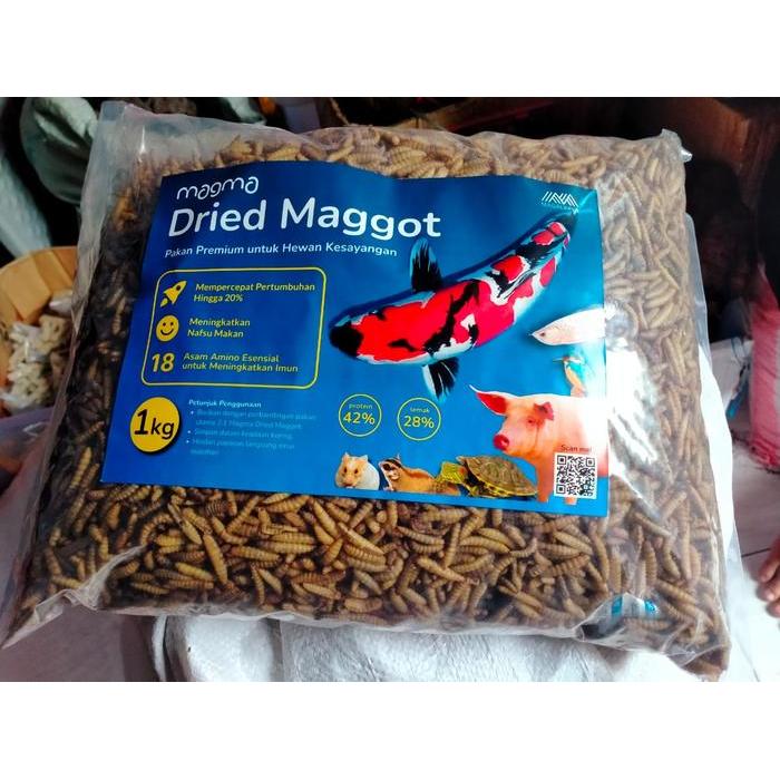 Manggot Bsf Manggot Kering Pakan Ikan Predator 100gr PREMIUM HIGH QUALITY