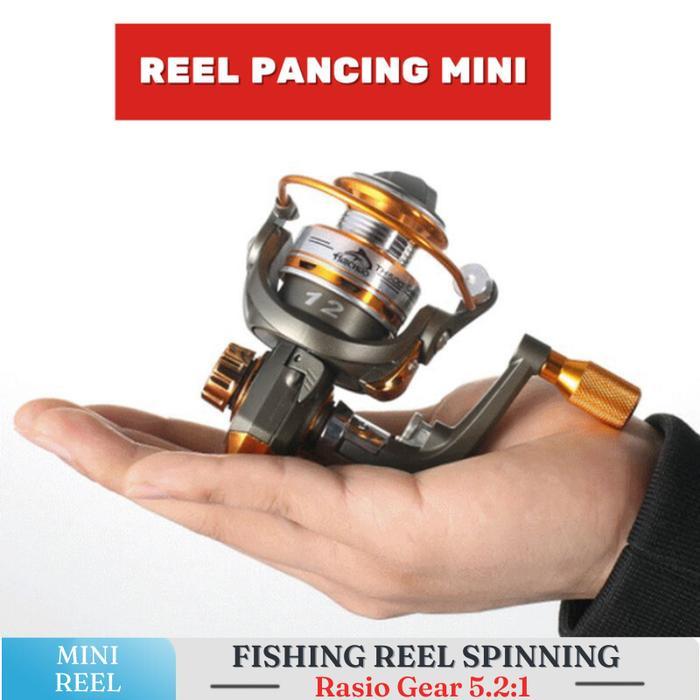 Reel Pancing Mini Spinning Handle