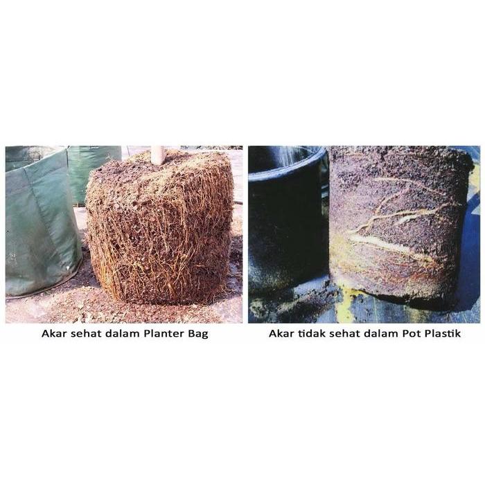 Pesona_Mimin Planter Bag 100 Liter Easy Grow 4 Handle Pot Tanaman Polybag Besar