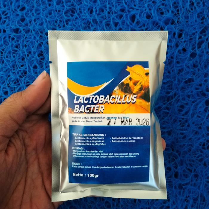 Lactobacillus Bacter Probiotik Pakan membantu Pencernaan Ikan