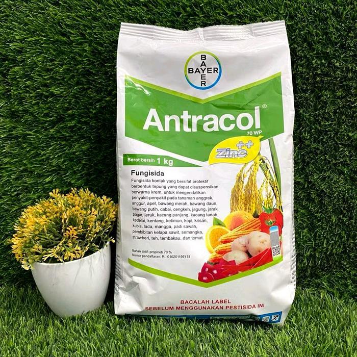 Fungisida Antracol (1kg) -pengendali penyakit tanaman