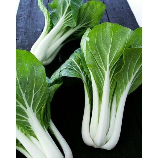 isi 500 Biji - Benih Sawi PAK CHOY WHITE (Pak Choy putih)