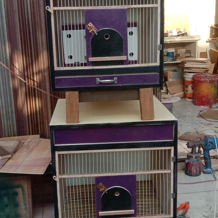 kandang merpati macan