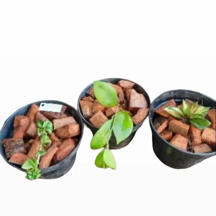 "New" Coco chip Sabut Kelapa Kulit Kelapa Cocochip Solusi Cerdas Media Tanam Anggrek