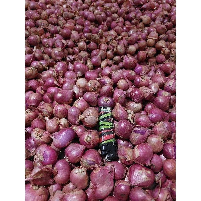 bawang merah nganjuk 1 kg