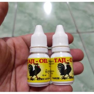 TAJI OIL OBAT PENGERAS JALU PATUK DAN KUKU AYAM ADUAN obat ayam readyyy