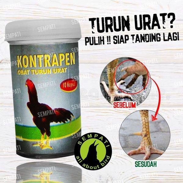 Obat Ayam Turun Urat Kontrapen Kapsul Obat Kaki Ayam Lumpuh Bengkak Tedun Jamu Ayam Jago Bangkok