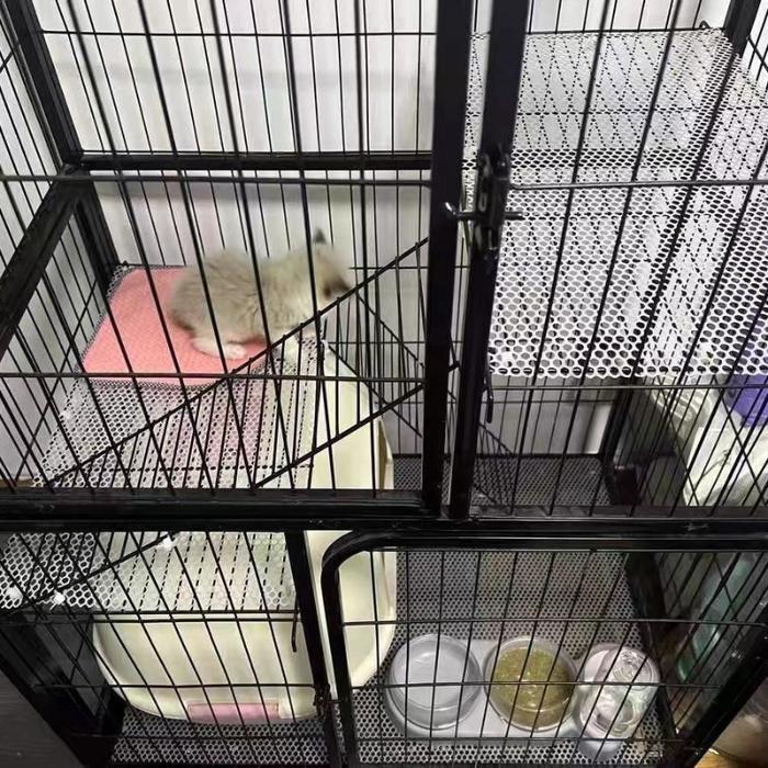 Jaring Kawat Plastik Hdpe 8X8Mm Tinggi 1 Meter Alas Kandang Ayam & Ternak Kuat Tahan Lama Alas Rak,