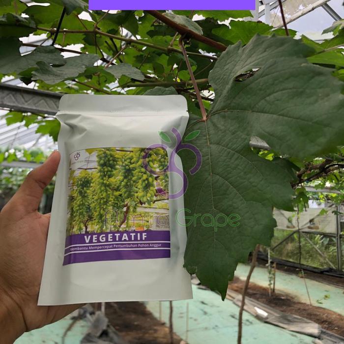 "New" Pupuk Vegetatif - Pupuk Pertumbuhan Pohon Anggur
