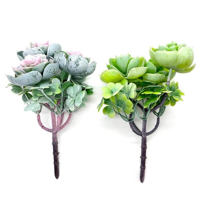 Scoop Tanaman Imitasi / Artificial Plant Sukulen Kaktus 60071300