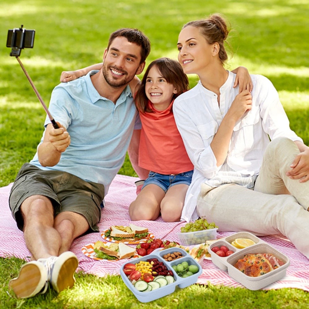 1/4pack Bento Lunch Box Set 3 Compartment Food Storage Containers Wheat Straw Meal Prep Lunch Box