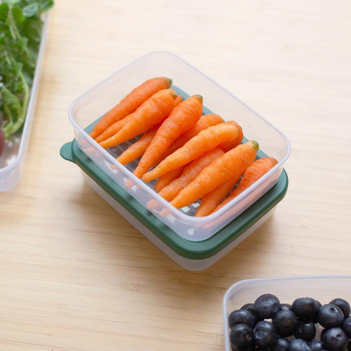 TERUJI Silicook Food Container Flexible - Food Container Organizer Kotak Makanan Penyimpanan Kulkas