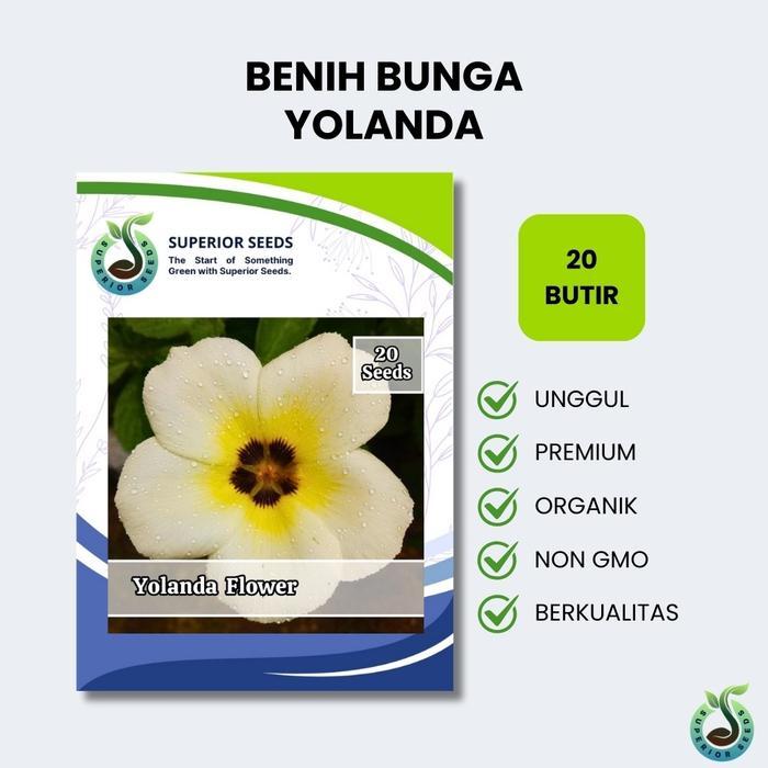 Koralineshop Biji Benih Bunga Yolanda (Superior Seeds)