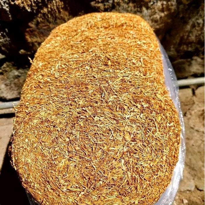 Argotech_ Lamsi Ganjuran 100G Halus Ringan Pulen