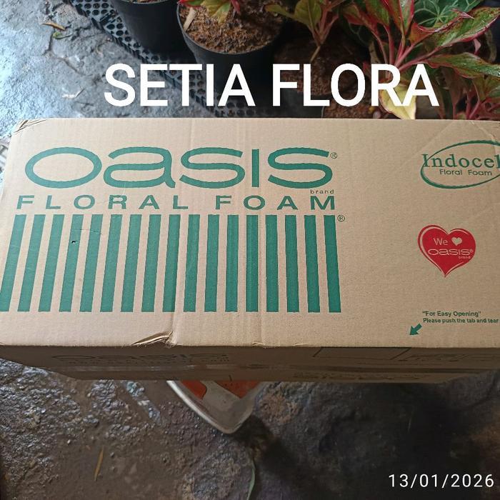 Oasis Indocell Floral Foam Basah Box 20 Pcs Busa Bunga